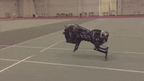 Meet the MIT Cheetah robot that can autonomously jump over obstacles GIF made by Sixpenceee. Original video via YouTube.