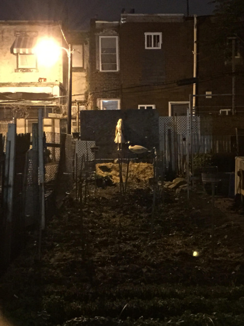 Reddit user Bro_Hawkins noticed the above in Philadelphia. 