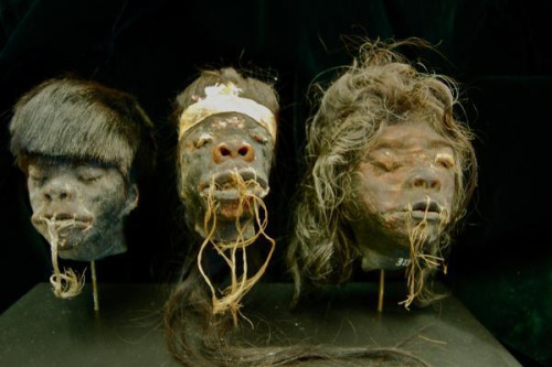 Shrunken heads was rare until 19th century tourists started paying good money for the heads. That’s right, not until the rest of the world interfered did the amazon jungle decide they should start making shrunken heads regularly. And, in a “clever” trade, the European tourists would offer guns in trade for a head, ensuring a constant flow of the shrunken heads. Even today, people will pay obscene amounts of money for the shrunken heads made by Amazonian tribes. (Source)