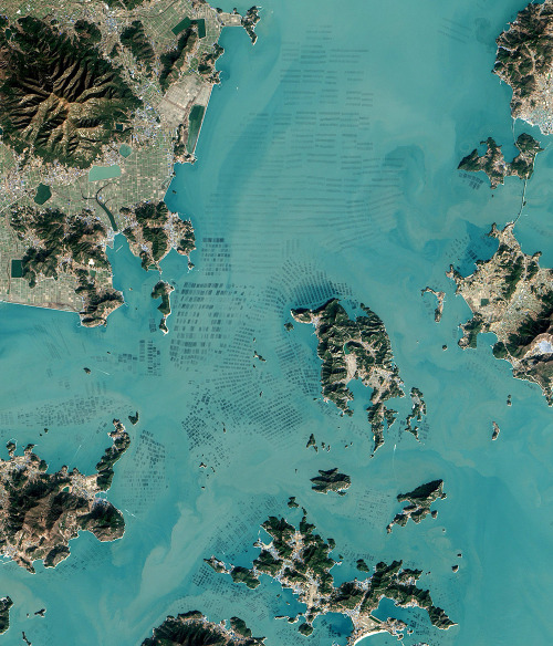 Seaweed farming in South Korea (Source)