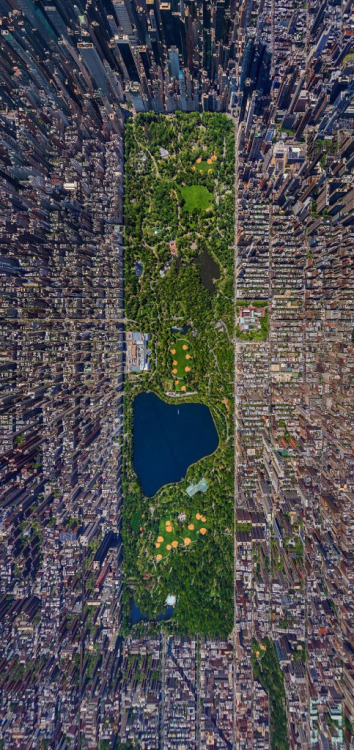 sixpenceee:Central Park, New York City(Source)