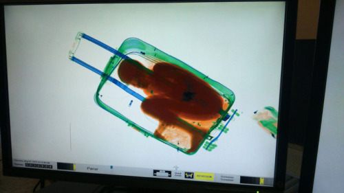 An 8-year-old boy inside a suitcase on May 8 as seen on the display of a scanner at the border crossing in Ceuta, a Spanish enclave in North Africa. Via NYTimes