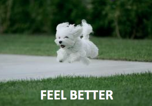 &ldquo;SIXPENCEEE I CAN&rsquo;T SLEEP BECAUSE OF YOUR BLOG&rdquo;&ldquo;SIXPENCEEE I AM SO SCARED. YOUR BLOG. HELP.&rdquo;Every single day I wake up to a lot of messages telling me how scary my blog is!I don&rsquo;t personally think it is scary and I know for a fact there are many out there who don&rsquo;t. (Probably because we are used to all the paranormal and horror).But I&rsquo;m going to make this post for those of you who need it. Also if you are having a bad day in general, here are some things to take your mind of it. JUST THE ESSENTIALSIT&rsquo;S NOT ALWAYS SUPERNATURALHere&rsquo;s a site that tells you the scientific explanations behind ghosts and any other paranormal experiences you may be havingCUTE BABY ANIMALSThey are here to take away all your problems!Daily Cute is a website that has tons more of these beauties.LOVES GIVES ME HOPE AND GIVES ME HOPE always makes me happy with their daily amazing storiesMASTERPOST ON DISNEY MOVIESMASTER POST ON STUDIO GHIBLI MOVIESMASTER POST ON FAIRYTALE MOVIESMASTER POST ON CHICKFLICK MOVIESMASTER POST ON POKEMON MOVIES/SHOWFUNNY AND COOL WEBSITEShttp://www.reasonsmysoniscrying.com/http://www.reddit.com/r/funny/http://www.reddit.com/r/woahdudehttp://www.cracked.com/http://www.theonion.com/http://www.collegehumor.com/http://www.funnyjunk.com/FOOD BLOGShttp://burger-master.tumblr.com/http://la-food.tumblr.com/http://prettyfoods.tumblr.com/http://fatty-like-me.tumblr.com/For those of you who may find it triggering here are some healthy food blogs:http://beautifulpicturesofhealthyfood.tumblr.com/http://fuckyeahhealthyeating.tumblr.com/http://notanotherhealthyfoodblog.tumblr.com/and vegan foodhttp://veganfood.tumblr.com/http://garden-of-vegan.tumblr.com/okay :)I hope you feel better!Like I say you are always welcome to unfollow me in the paranormal/horror is too much for you!Have a great day! 