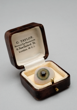 White Glass Eye with Blue Iris, London, England, 1901-1940Glass was the obvious material for artificial eyes in the early 20th century. This eye is hemispherical and remarkably lifelike. It was made by eye maker Gustav Taylor. He prided himself on the natural appearance of his artificial eyes. Taylor handcrafted them within an hour for customers while they waited. He also invented eyes with dilating pupils. (Source) 