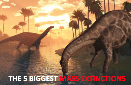 A mass extinction are period on Earth&rsquo;s history where an abnormally large number of species die out simultaneously or within a limited time period.Here are the 5 biggest:Ordovician-Silurian mass extinction:  During this time most life was in the ocean. Sea creatures like the trilobites, brachiopods and graptolites were wiped out. Almost 85% of them were completely gone. What happened was there was an ice age that caused a climate change. Sea levels fell and the chemistry of the ocean was messed up.Late Devonian mass extinction: This was a series of extinctions over the course of a million years, and not a single event. Life in shallow seas were impacted. Much of the sea bed became devoid of oxygen. Changes in sea level, asteroid impacts climate change have also been blamed for this mass extinction.Permian mass extinction: This mass extinction has been nicknamed the great dying. A staggering 96% of species have died out. All life on Earth today is the surviving 4%. There were at least two separate phases of extinction spread over millions of years. Marine creatures were particularly badly affected and insects suffered the only mass extinction of their history. Many causes have been proposed for the event: asteroid impact, flood basalt eruptions, catastrophic methane release, a drop in oxygen levels etc. Triassic-Jurassic mass extinction: Climate change, flood basalt eruptions and an asteroid impact have all been blamed for loss of life. Many types of animal died out, including lots of marine reptiles, some large amphibians, many reef-building creatures and large numbers of cephalopod molluscs. Roughly half of all the species alive at the time became extinct. Strangely, plants were not so badly affected.Cretaceous- Tertiary mass extinction: This is famed for the death of the dinosaurs. Many other organisms perished however such as flowering plants &amp; ammonites.This extinction was due to flood basalt eruptions affecting the world&rsquo;s climate, combined with drastic falls in sea level. Then a huge asteroid or comet struck the seabed near the Yucatan Peninsula in Mexico. Many propose that the next big extinction won&rsquo;t be because of natural disasters but because of man made ones. SOURCE