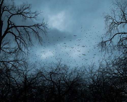 CREEPY TINY TALES, by reddit user IPostAtMidnightUnfurlShe usually enjoyed unfurling a fresh sheet over her bed, swishing it out like they do in those detergent commercials. Tonight, however, as the sheet settled down onto the empty mattress, it outlined the contours of a body.Then it sat up.[[MORE]]ylim3Little Emily vanished last year. Now they’re pouring new sidewalks in my neighborhood, and I’ve found her name in the wet cement, written in remembrance. But it was written in reverse. And from below.Cold as HellAfter centuries spent crawling through an endless desert, the Devil appeared and offered the man a glass of cold water. Though suspicious, he savored every drop, and afterwards he looked up gratefully.“Why this kindness?” he asked the Devil through cracked, scabbed-over lips.The Devil smiled and patted him on the head.“Because you had forgotten kindness existed.”Then he was alone again, and the moisture remaining in his mouth turned to sand.(Link to story, there are more tiny tales here) (Compilation of Creepy Short Stories)(Compilation of Creepy Short Stories Part 2)