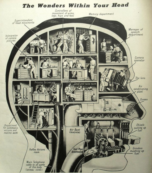 The Wonders of the MindWonders of the Mind (Source)