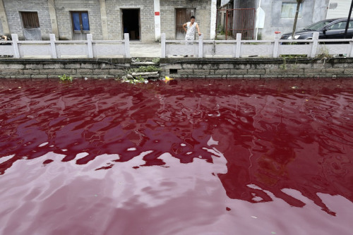 Residents of Wenzhou, China, woke one July morning to find that a river had turned red as blood due to pollution in the areaREUTERS/Stringer