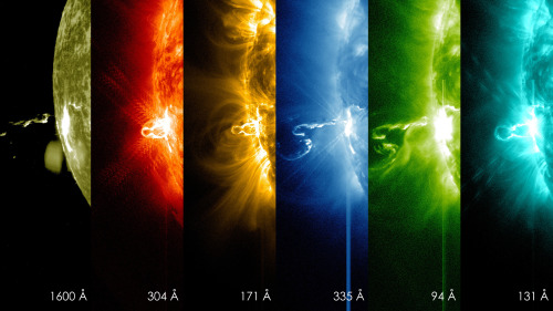 Flare Bursts From SunOn Feb. 24, 2014, the sun emitted a significant solar flare, peaking at 7:49 p.m. EST. NASA&rsquo;s Solar Dynamics Observatory (SDO), which keeps a constant watch on the sun, captured images of the event. These SDO images from 7:25 p.m. EST on Feb. 24 show the first moments of this X-class flare in different wavelengths of light &ndash; seen as the bright spot that appears on the left limb of the sun. Hot solar material can be seen hovering above the active region in the sun&rsquo;s atmosphere, the corona.[[MORE]]Solar flares are powerful bursts of radiation, appearing as giant flashes of light in the SDO images. Harmful radiation from a flare cannot pass through Earth&rsquo;s atmosphere to physically affect humans on the ground, however &ndash; when intense enough &ndash; they can disturb the atmosphere in the layer where GPS and communications signals travel. (Source)