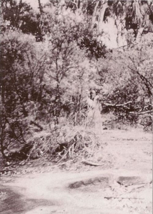 Woman at Corroboree Rock, AustraliaThis picture, taken in 1959, seems to show a semi-transparent woman in a long gown standing at the edge of a group of trees, holding what might be a camera or pair of binoculars.Via BuzzFeed