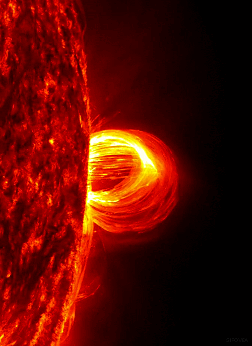 A loop of plasma four times the size of the Earth erupts from the Sun.
