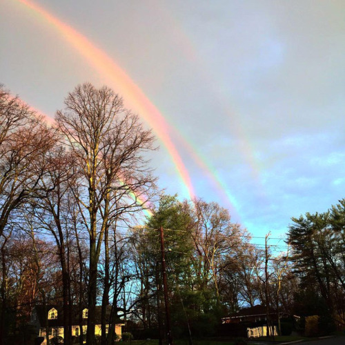 Quadruple RainbowAmanda Curtis snapped this picture of a rare quadruple rainbow while waiting for her Long Island train to New York on the morning of 21 April 2015. According to CNN, this type of quadruple rainbow occurs when a double rainbow is reflected in sky due to a smooth body of water underneath the rainbow.