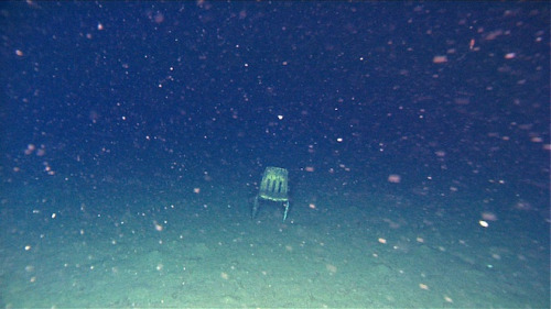 A chair found at the bottom of a ocean. (Source)