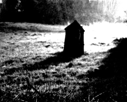 My Southern Grandma&rsquo;s AdviceBy reddit user VitruvianMonkeyWhen the air was still out amongst the pine trees, and even without wind, things seemed to shuffle and rustle through the brush, we children would start to talk of the unnatural gait of the long deceased come back for Sunday supper. My grandma always had words of hard-earned experience, though, to soothe our fears.[[MORE]]&ldquo;Don&rsquo;t be afraid when the dead come a-calling, for people are mostly good, and the dead are just people a little farther down the road. It&rsquo;s when the things that were never alive in the first place show up that you start worrying.&rdquo;