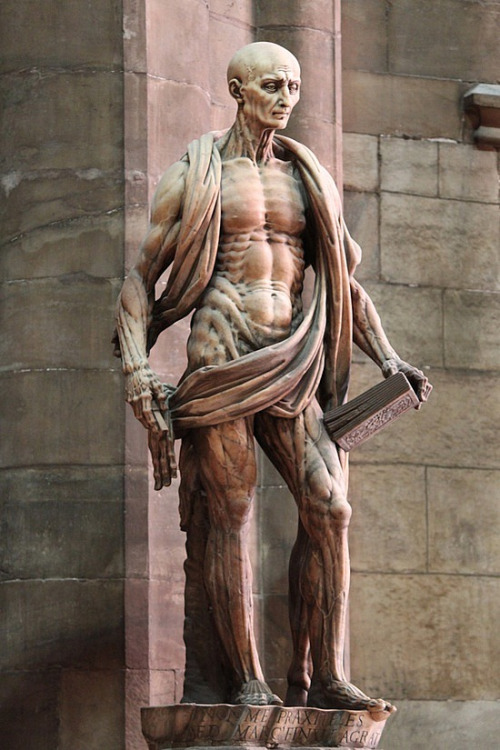 Statue of Saint Bartholomew, who was skinned-alive by the Romans for not renouncing his christian-faith. In this statue, the sculptor depicts Bartholomew with muscles, bones, and veins for all to see. Draped around his shoulders and waist is his own skin. (Another Ghostly Statue:René de Chalon)