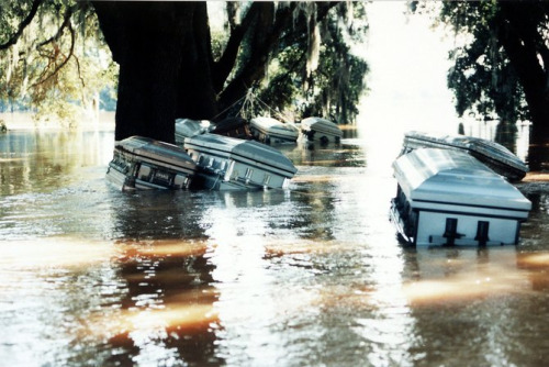 A great flood disinterred 438 caskets from Albany cemeteries. Forensics experts identified all but 95 bodies washed up during flood