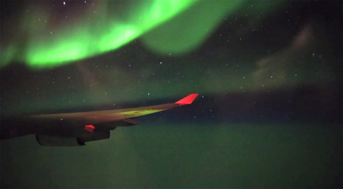 The aurora borealis light up the night sky on a flight from San Francisco to Paris.(Source)