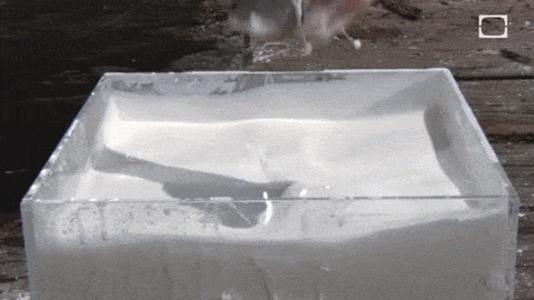 Non-Newtonian FluidA non-newtonian fluid’s viscosity changes when the gradient in flow speed changes. Colloidal suspensions and polymer solutions like ketchup and starch/water paste are non-Newtonian fluids. (Source)GIF made by Sixpenceee. Original video via YouTube. 