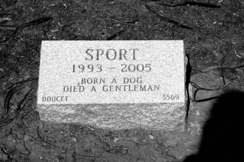 This is located in a pet cemetery in White Plains, NY