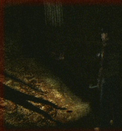 Where Does True Horror Lie?By reddit user HuntfrogEvery small town in America has that scary house on the corner that is supposedly haunted. I love that shit. I eat it up for breakfast.[[MORE]]My town is no different. It’s called the Caldwell House, and supposedly the ghosts of a man, woman, and baby haunt the residence. They were burned alive as they slept. There was another child too, a little girl named Susan, whose body was never found.They died in screaming torment on June 1, 2010.At midnight on June 1, 2015, I broke into their abandoned home. No one dared lived there; only a brave few had ever ventured inside. The place was bone cold. My flashlight barely penetrated the darkness. I began to shiver as I walked up the dusty staircase. The stairs seemed to go on forever; I began to tire. Finally, I reached the top. It became colder still, and I could hear a strange melody coming from a bedroom. My heart began to pound as I approached the door. I nudged it open and saw two dark shapes huddled over a crib. The melody stopped. I heard a baby start to cry, softly at first, then a piercing wail. Dark tendrils reached out, surrounding me, then they began to circle at preposterous speeds. I was caught in a supernatural tornado.It became hard to breathe. Then a laugh pierced the atmosphere. Booming, as if from the belly of fat old Saint Nick himself.The apparitions jumped back, roaring in hatred. The little one became silent.The laugh was mine.I was impressed at how much the Caldwell ghosts seemed to grow in their power, in their hatred.Their hatred of me.I pulled out some recent photographs of their beloved Susan. Bound, gagged, unnaturally dirty: she was near blind from living in total darkness for five years.I like to come back every anniversary to let Mr. and Mrs. Caldwell know how their daughter is doing. I like to show little baby Caldwell how his sister is doing.She’s not doing very well. Not very well at all.Once again I light a flame in their house. The pictures of Susan quickly become a conflagration, illuminating everything they have lost.Their torment has not ended with their death. It has only just begun.They cannot harm me in their ghostly form. But they can understand me.True horror does not lie with chains rattling in the night. It is not cacophonous moaning, nor disembodied objects floating in the chill air. True horror lies in the hearts of men. 